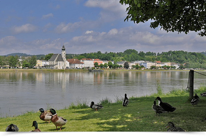 Donauradweg Aschach an der Donau