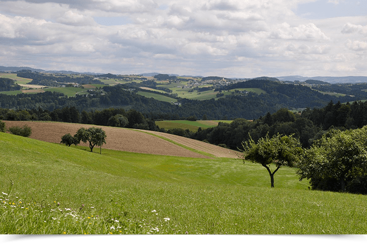Donausteig wandern