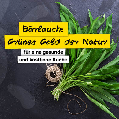 Bärlauch - gesunde und köstliche Küche