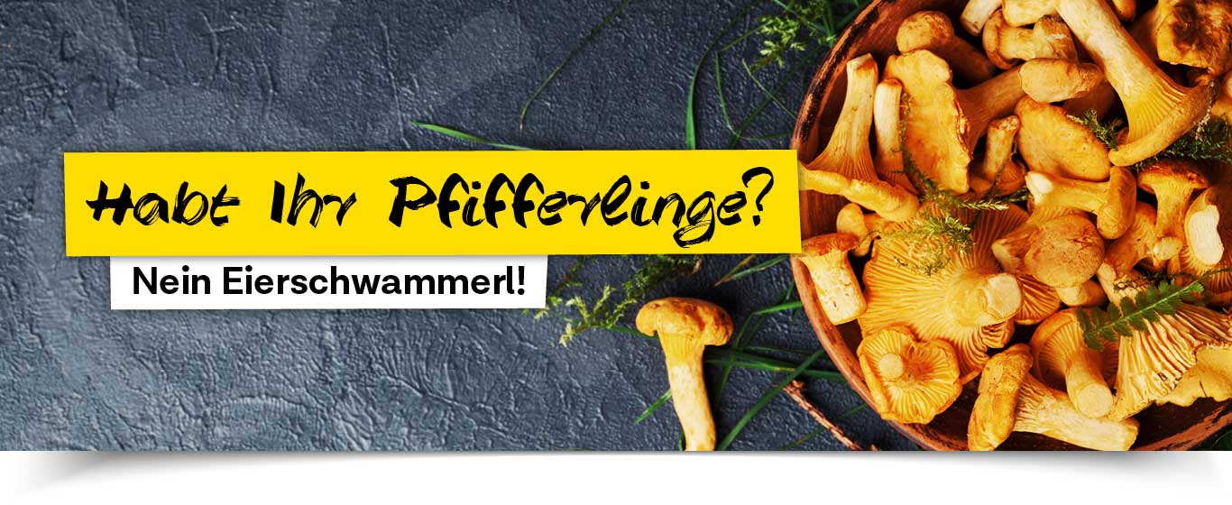 Sonne Gastro Programm frische Eierschwammerl 2024