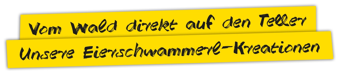 Eierschwammerl Pfifferlinge Kreationen